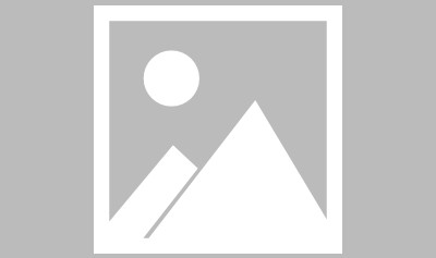 亚冠直播-【布鲁克林网事】从废墟到摩天大厦要垒多少块砖？