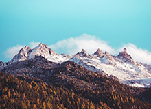 亚冠-北爱赛奥沙利文“逆袭” 连续三年与特鲁姆普争冠